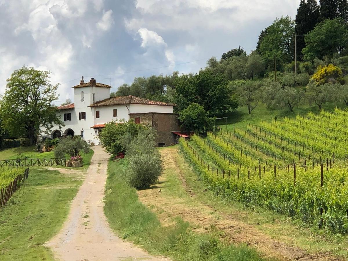 Azienda Agricola Il Poggiolino Villa Pelago Bagian luar foto