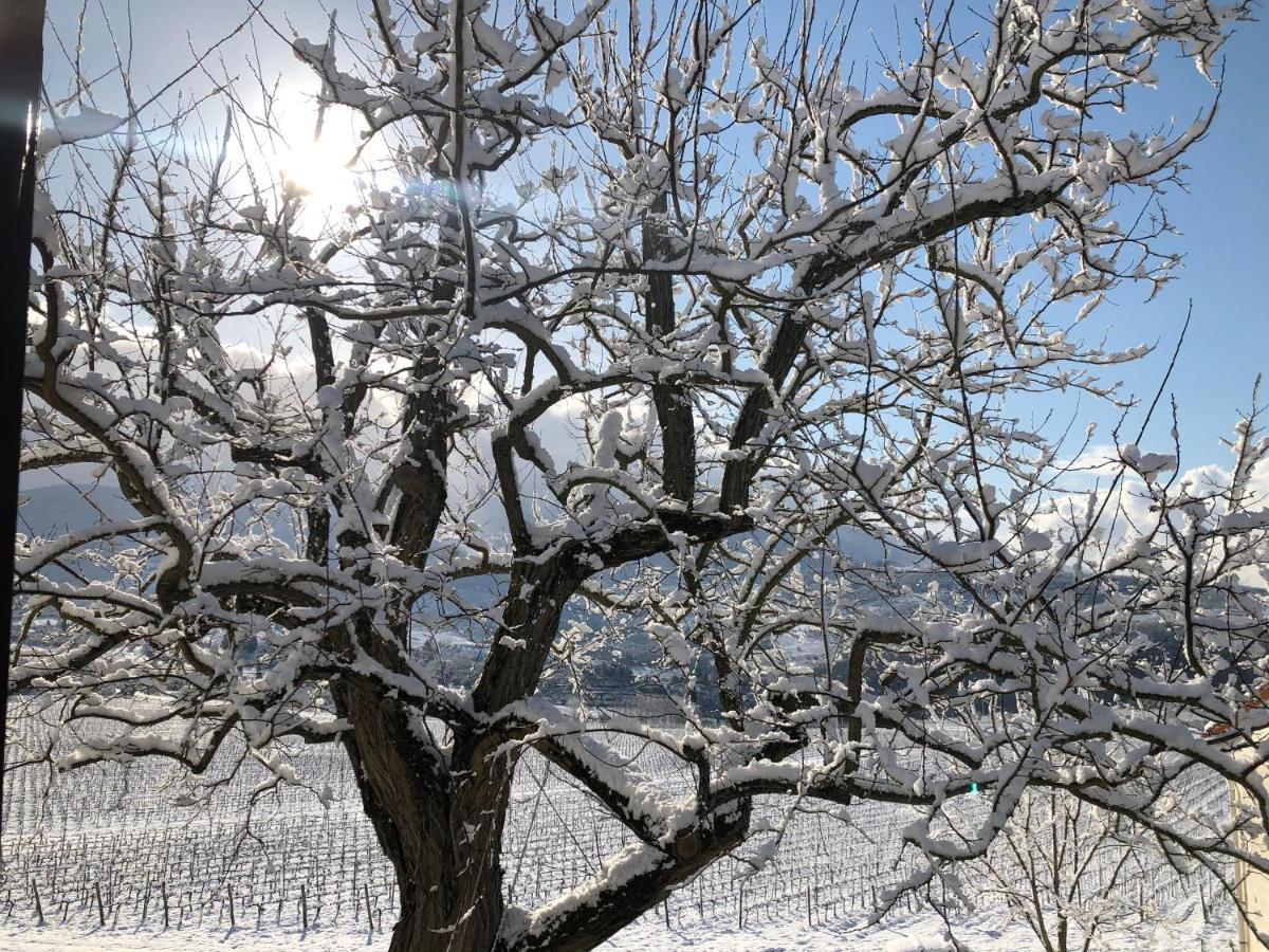 Azienda Agricola Il Poggiolino Villa Pelago Bagian luar foto