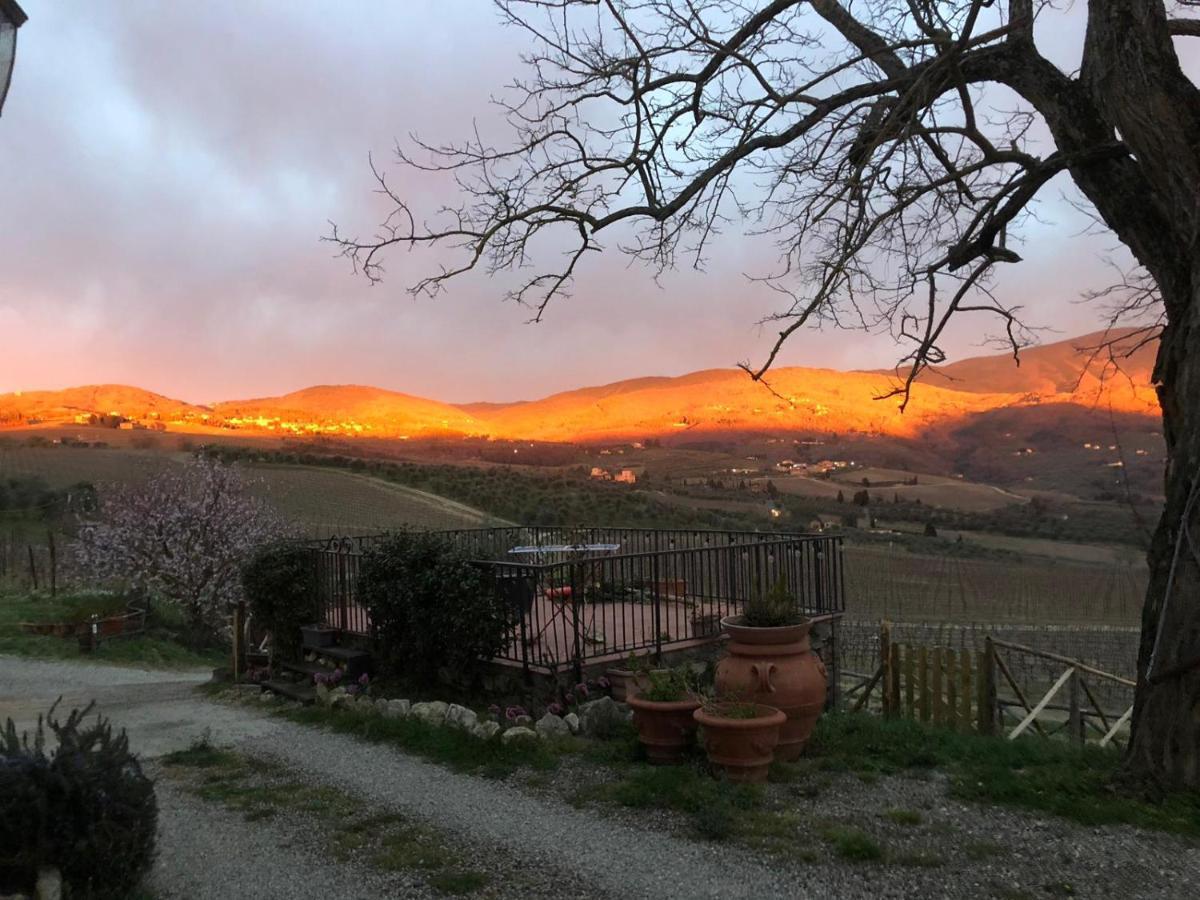 Azienda Agricola Il Poggiolino Villa Pelago Bagian luar foto