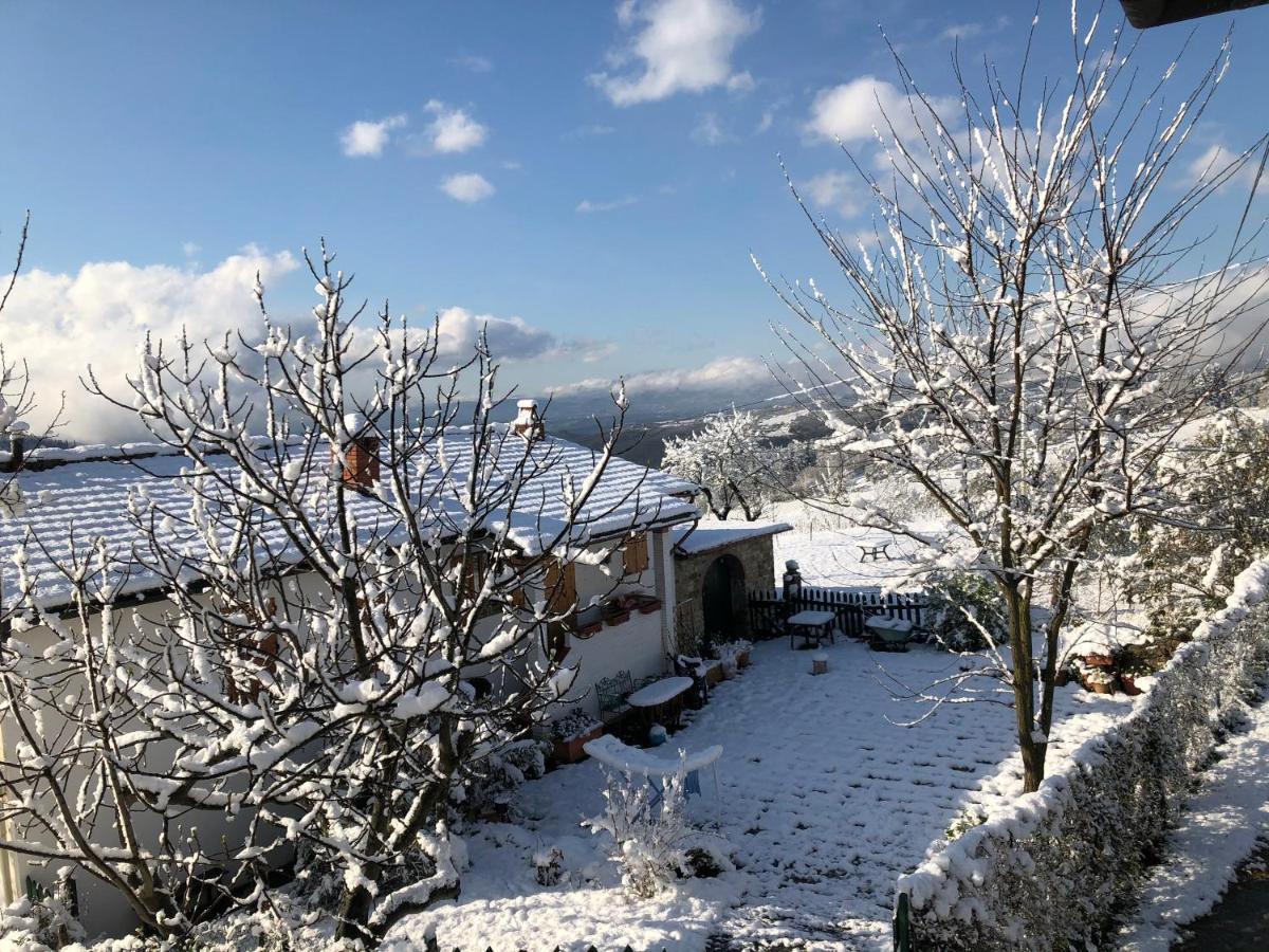 Azienda Agricola Il Poggiolino Villa Pelago Bagian luar foto