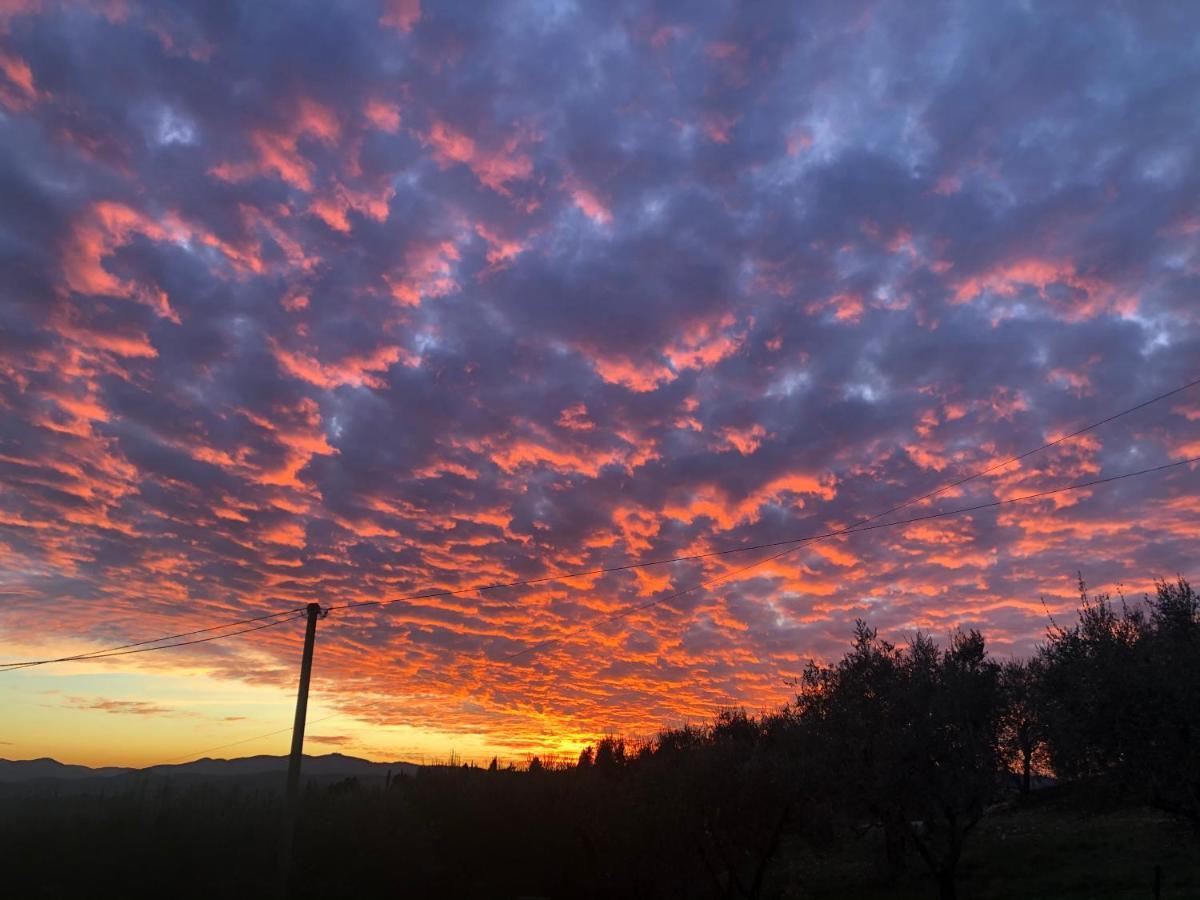 Azienda Agricola Il Poggiolino Villa Pelago Bagian luar foto