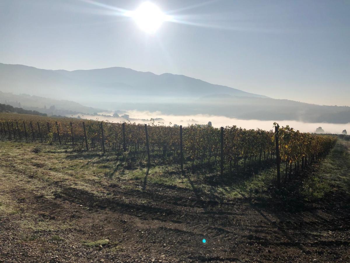 Azienda Agricola Il Poggiolino Villa Pelago Bagian luar foto