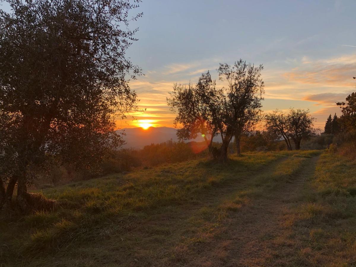 Azienda Agricola Il Poggiolino Villa Pelago Bagian luar foto